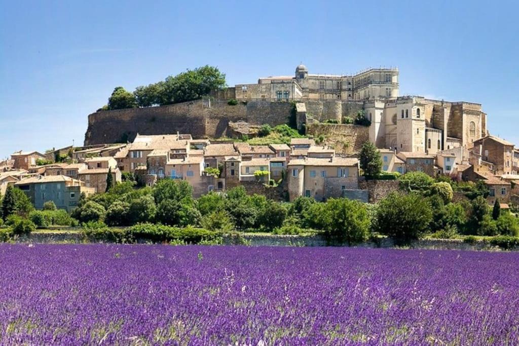 Maison De Ville Châteauneuf-du-Rhône Exteriör bild